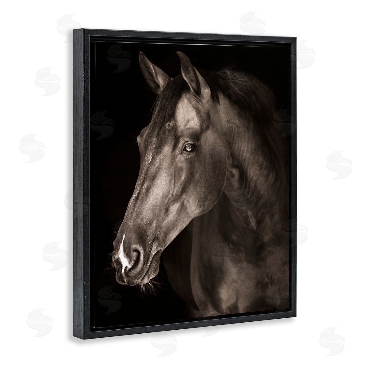 Marcus Prime Strong Stallion Horse Portrait Canvas Wall Art Print