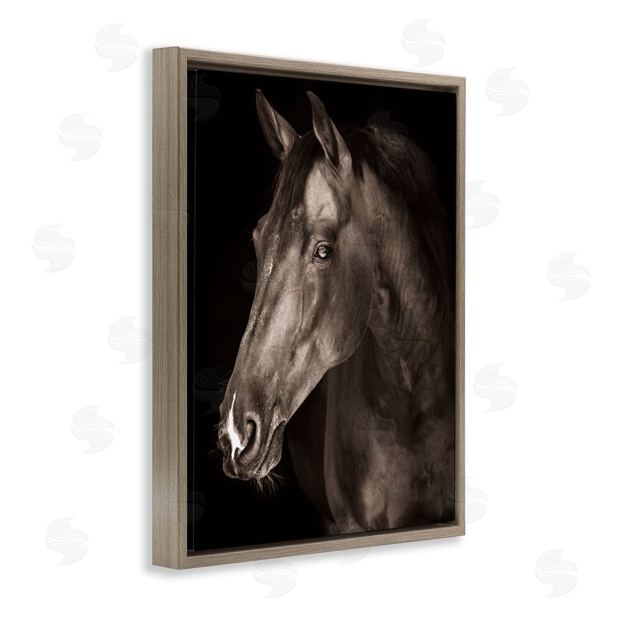 Marcus Prime Strong Stallion Horse Portrait Canvas Wall Art Print
