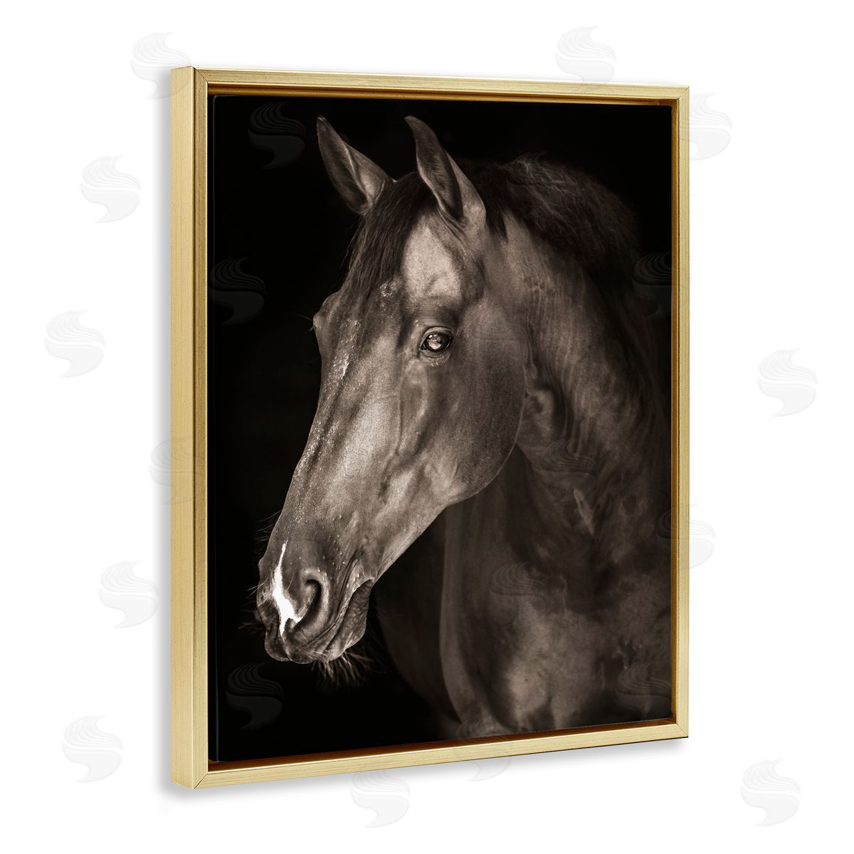Marcus Prime Strong Stallion Horse Portrait Canvas Wall Art Print