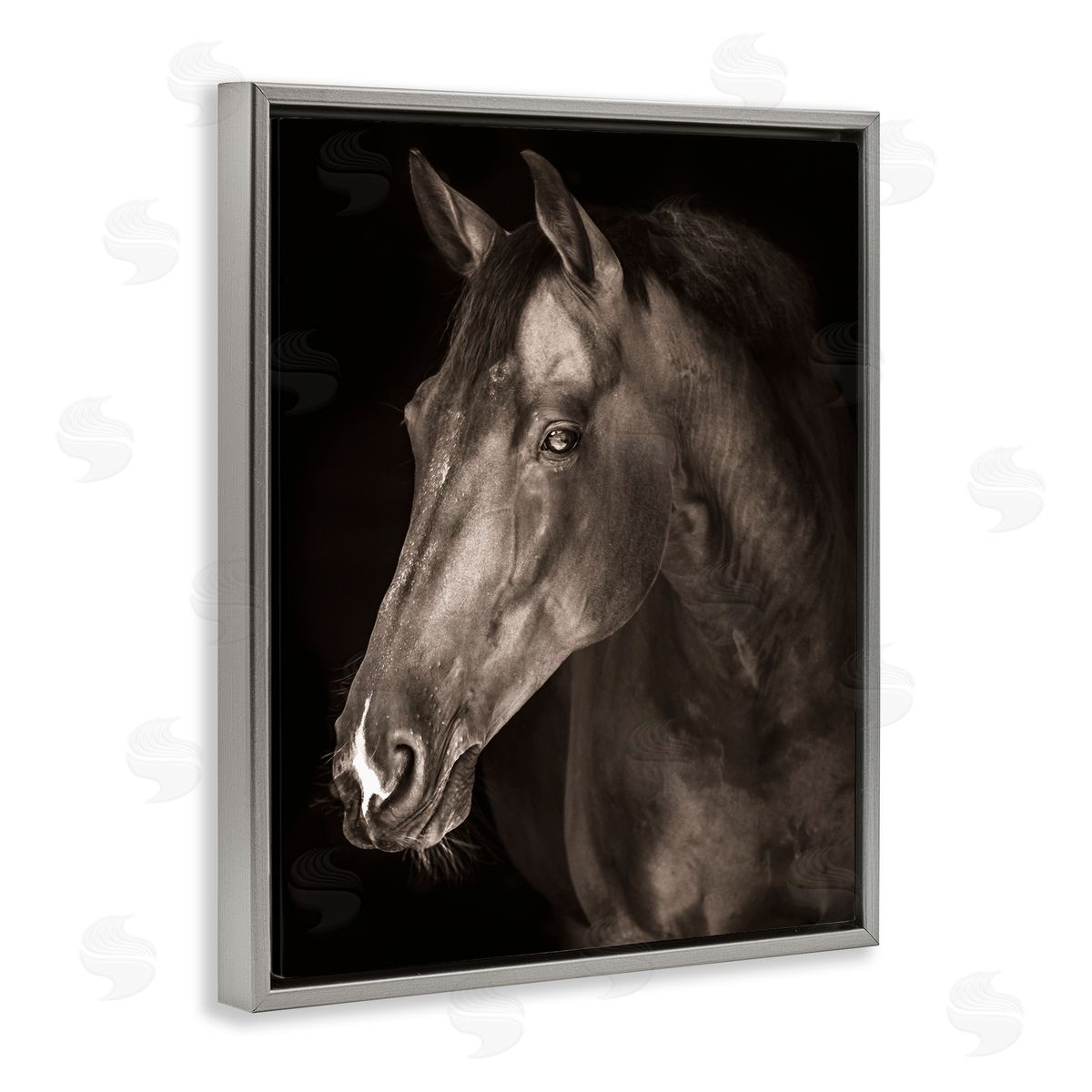 Marcus Prime Strong Stallion Horse Portrait Canvas Wall Art Print