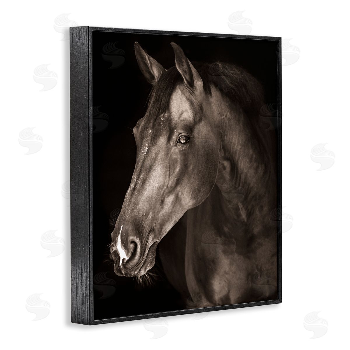 Marcus Prime Strong Stallion Horse Portrait Canvas Wall Art Print