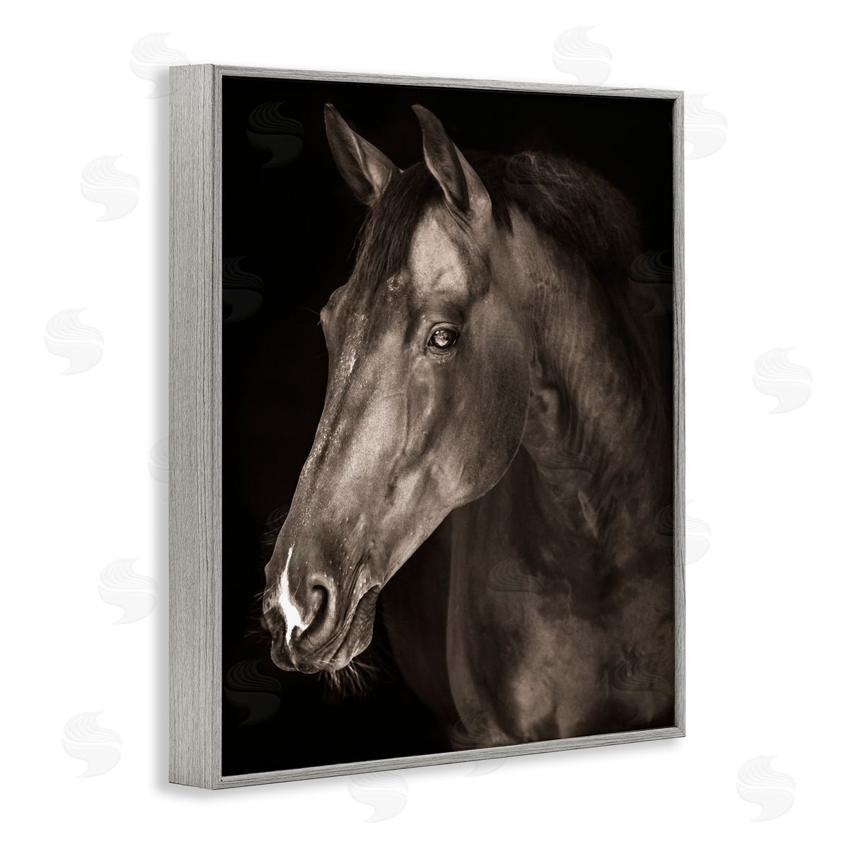 Marcus Prime Strong Stallion Horse Portrait Canvas Wall Art Print
