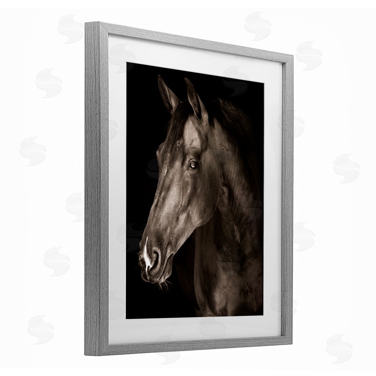Marcus Prime Strong Stallion Horse Portrait Canvas Wall Art Print
