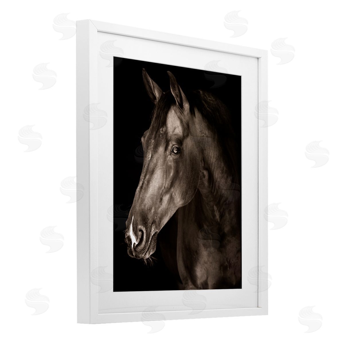 Marcus Prime Strong Stallion Horse Portrait Canvas Wall Art Print