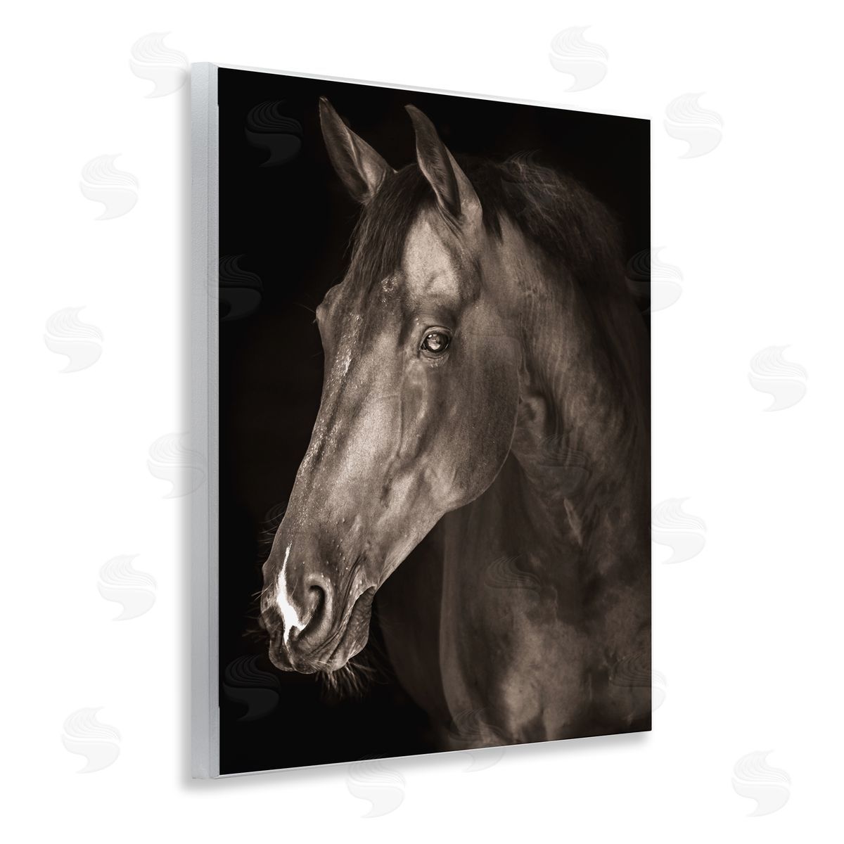 Marcus Prime Strong Stallion Horse Portrait Canvas Wall Art Print