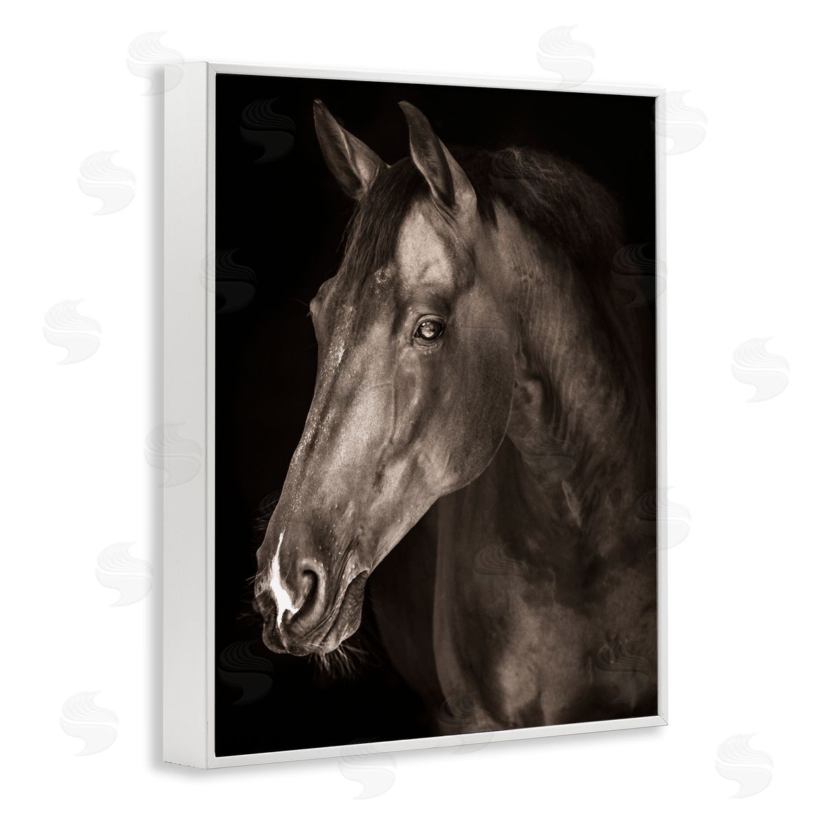 Marcus Prime Strong Stallion Horse Portrait Canvas Wall Art Print