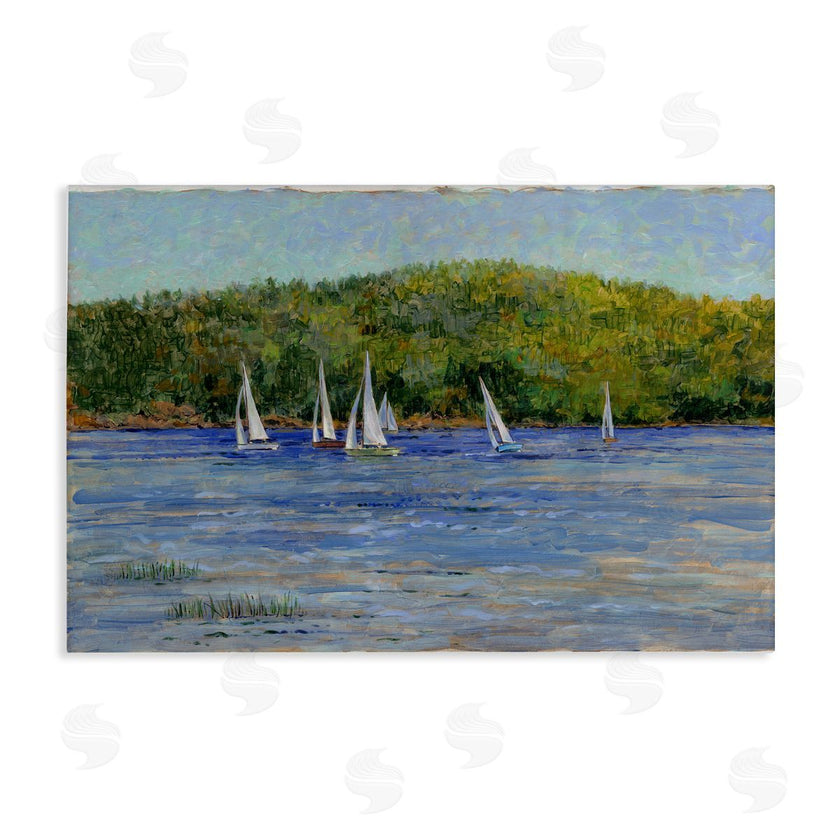 Tim Coffey | Sailboat Fleet in Distance