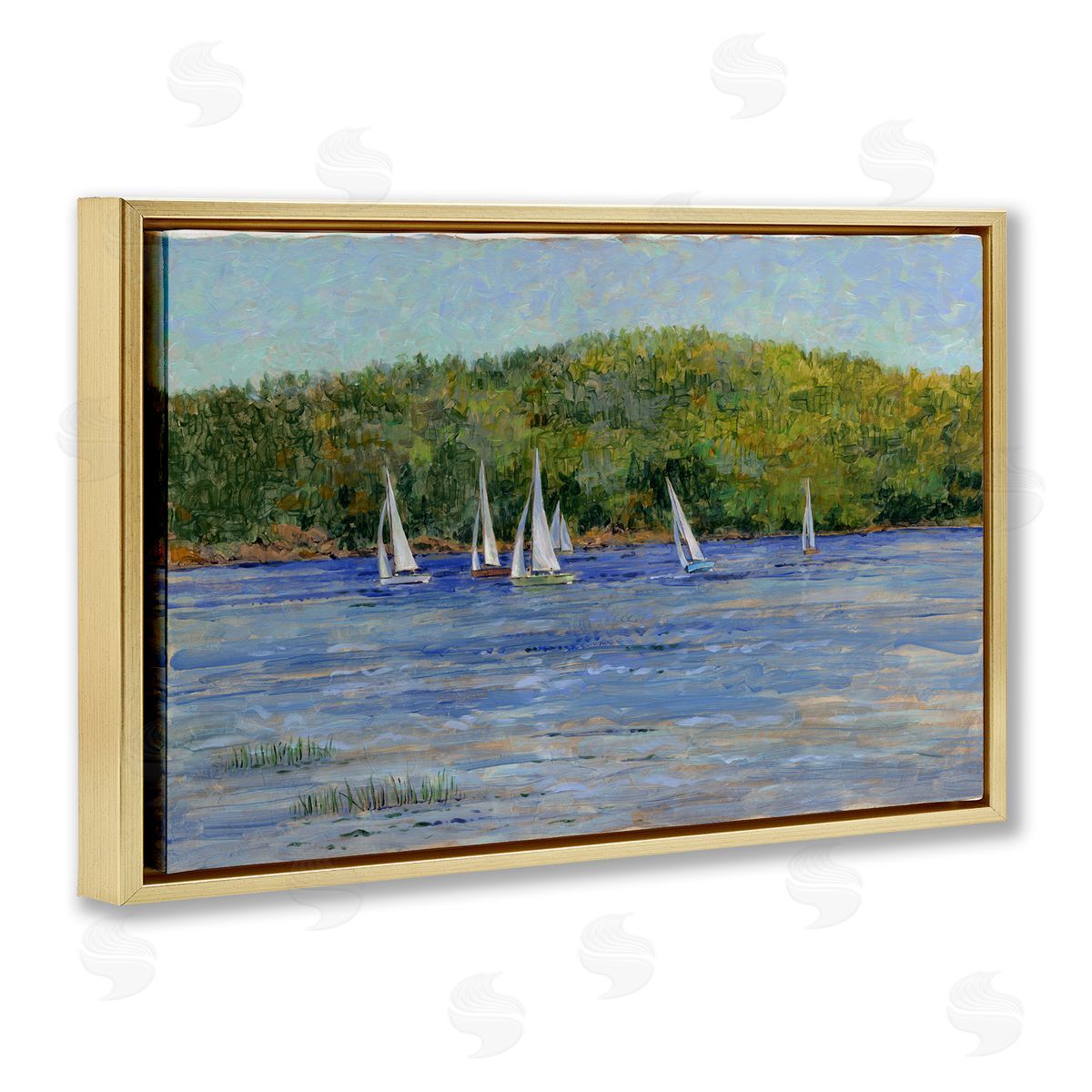Tim Coffey | Sailboat Fleet in Distance