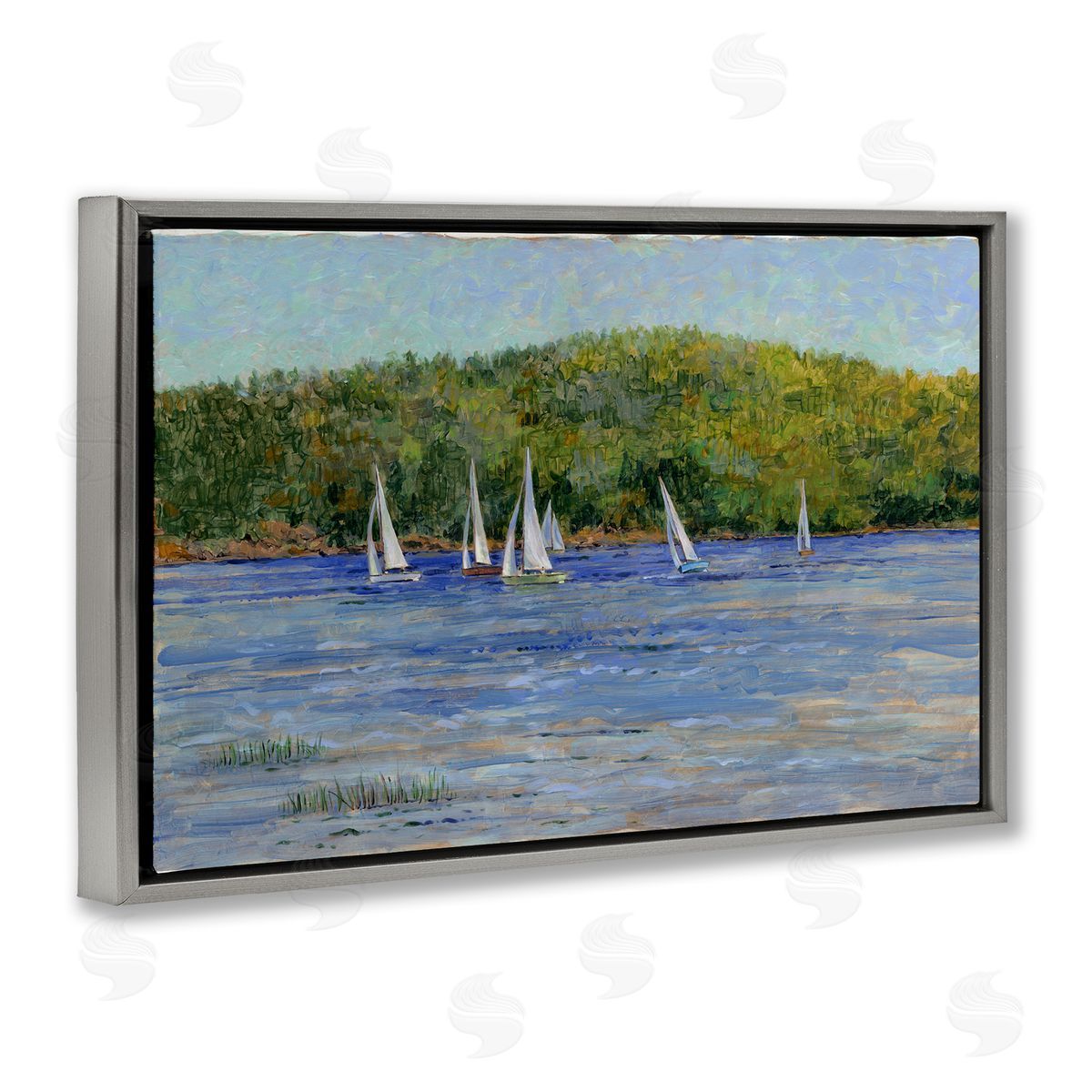 Tim Coffey | Sailboat Fleet in Distance