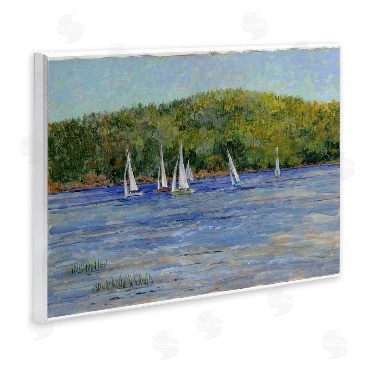 Tim Coffey | Sailboat Fleet in Distance