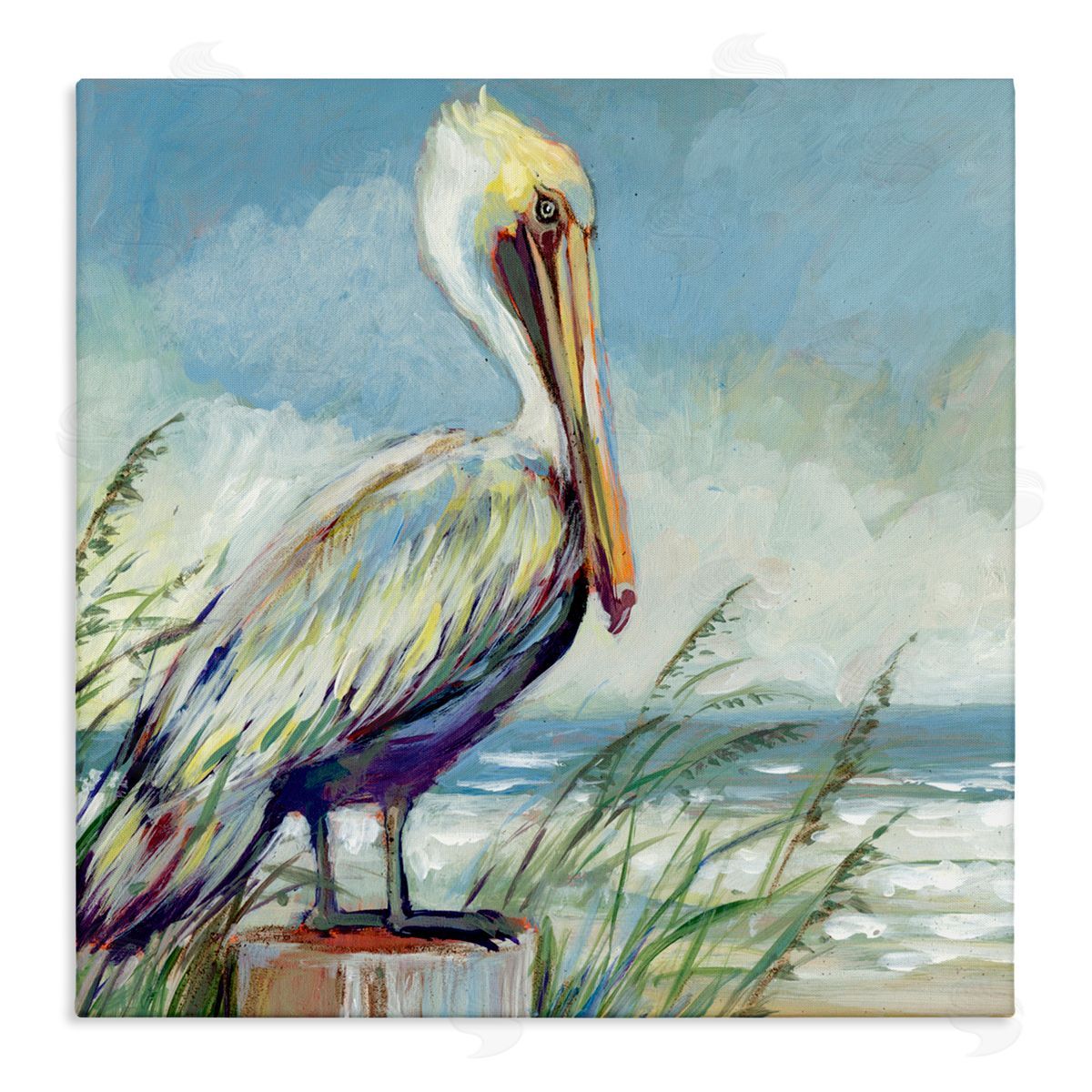 Susan Winget Coastal Pelican Perch Canvas Wall Art Print