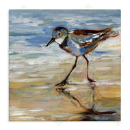Susan Winget | Sandpiper and Beach Tide