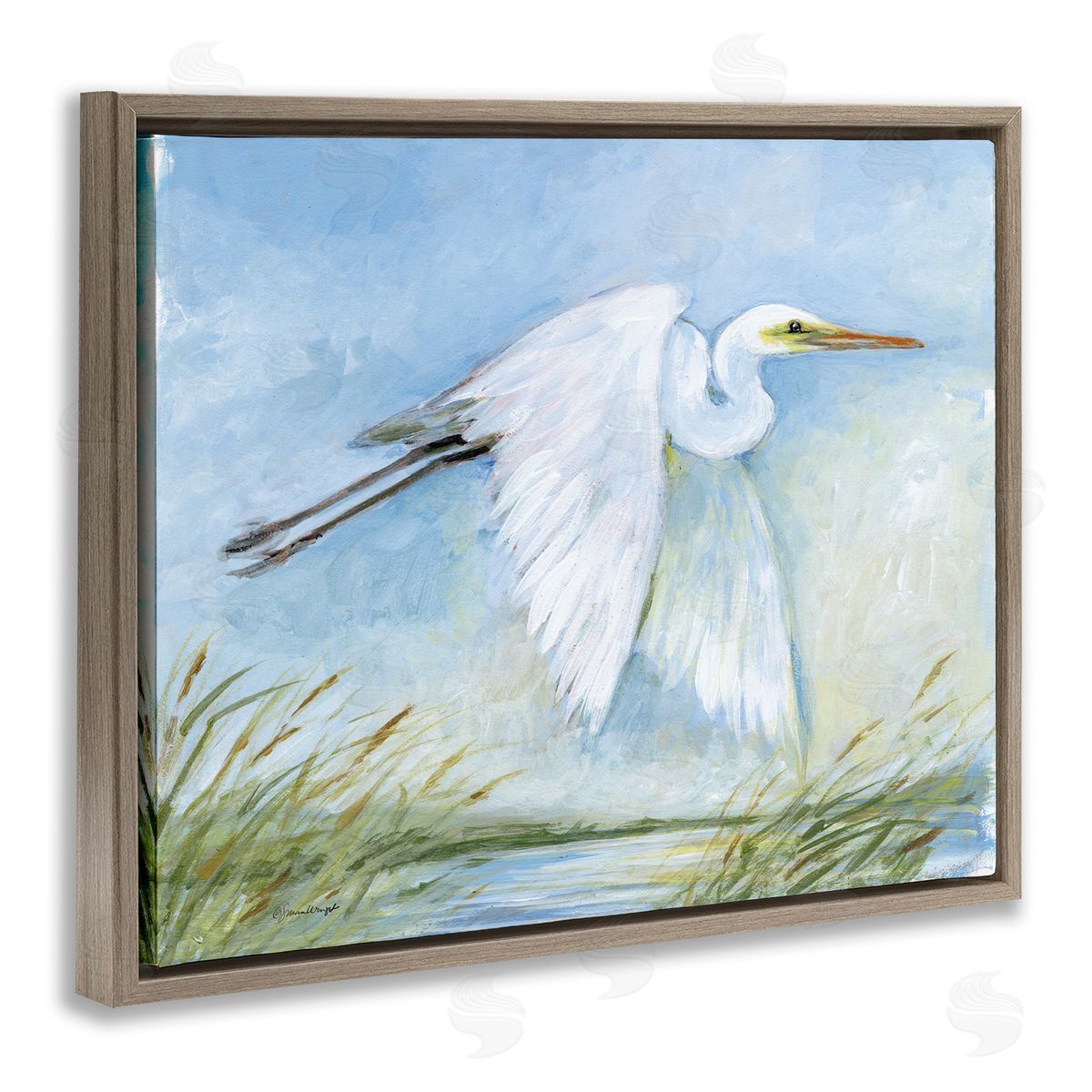 Susan Winget | White Egret Flying