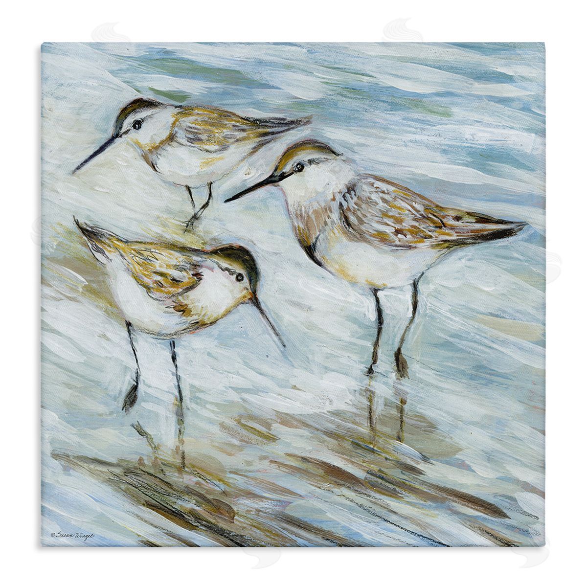 Susan Winget | Wetlands Sandpiper Trio