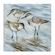 Susan Winget | Wetlands Sandpiper Trio