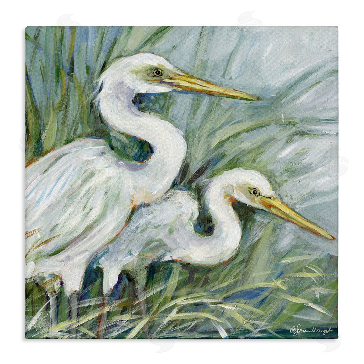 Susan Winget | White Herons Habitat