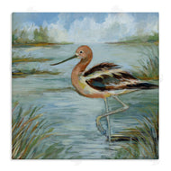 Susan Winget | Avocet Bird In Water
