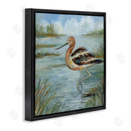 Susan Winget | Avocet Bird In Water