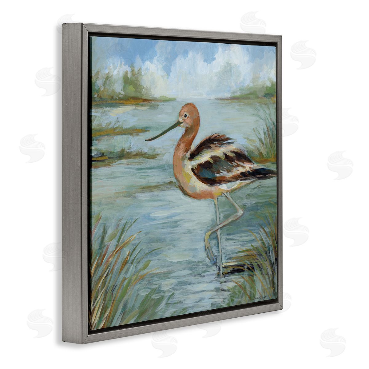 Susan Winget | Avocet Bird In Water