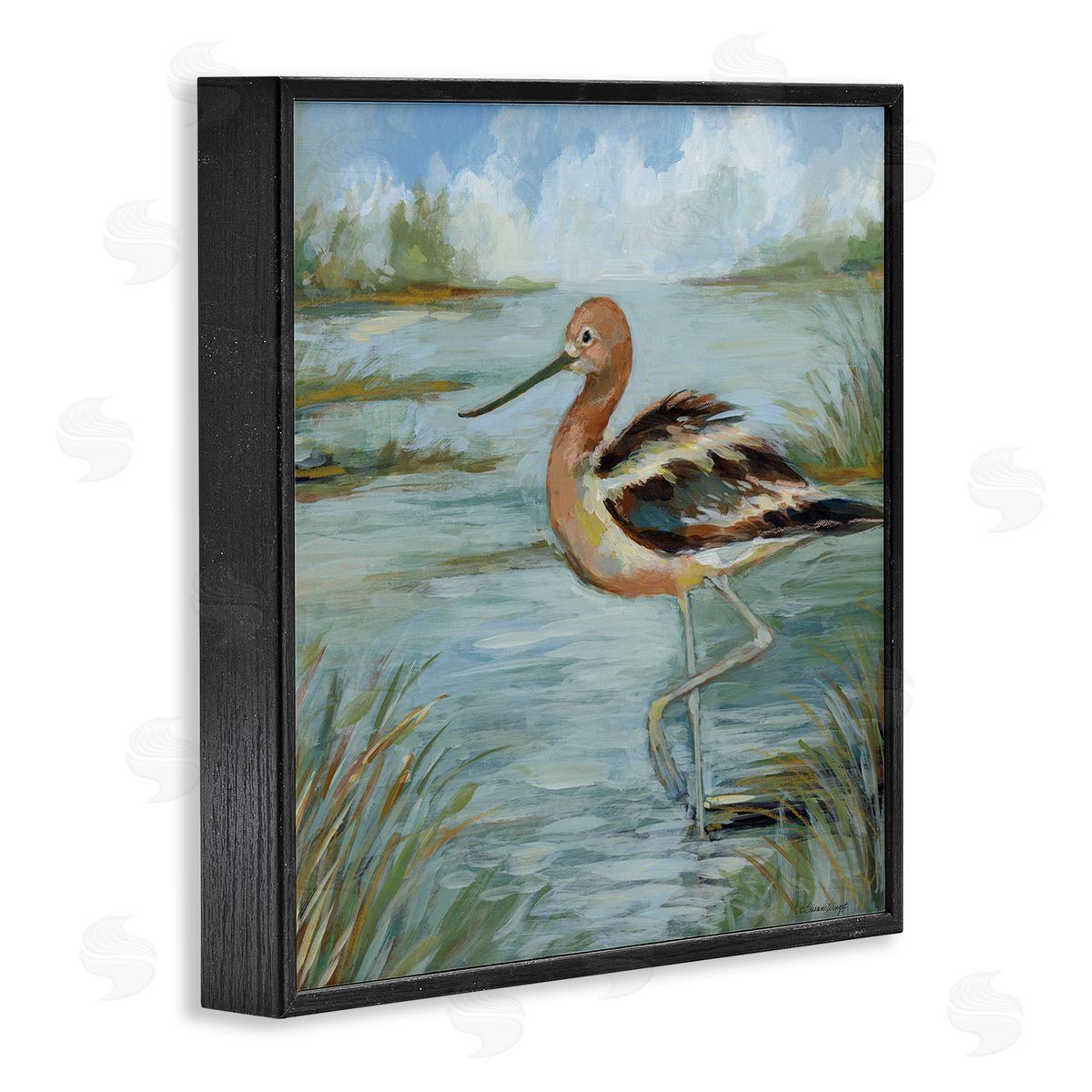Susan Winget | Avocet Bird In Water