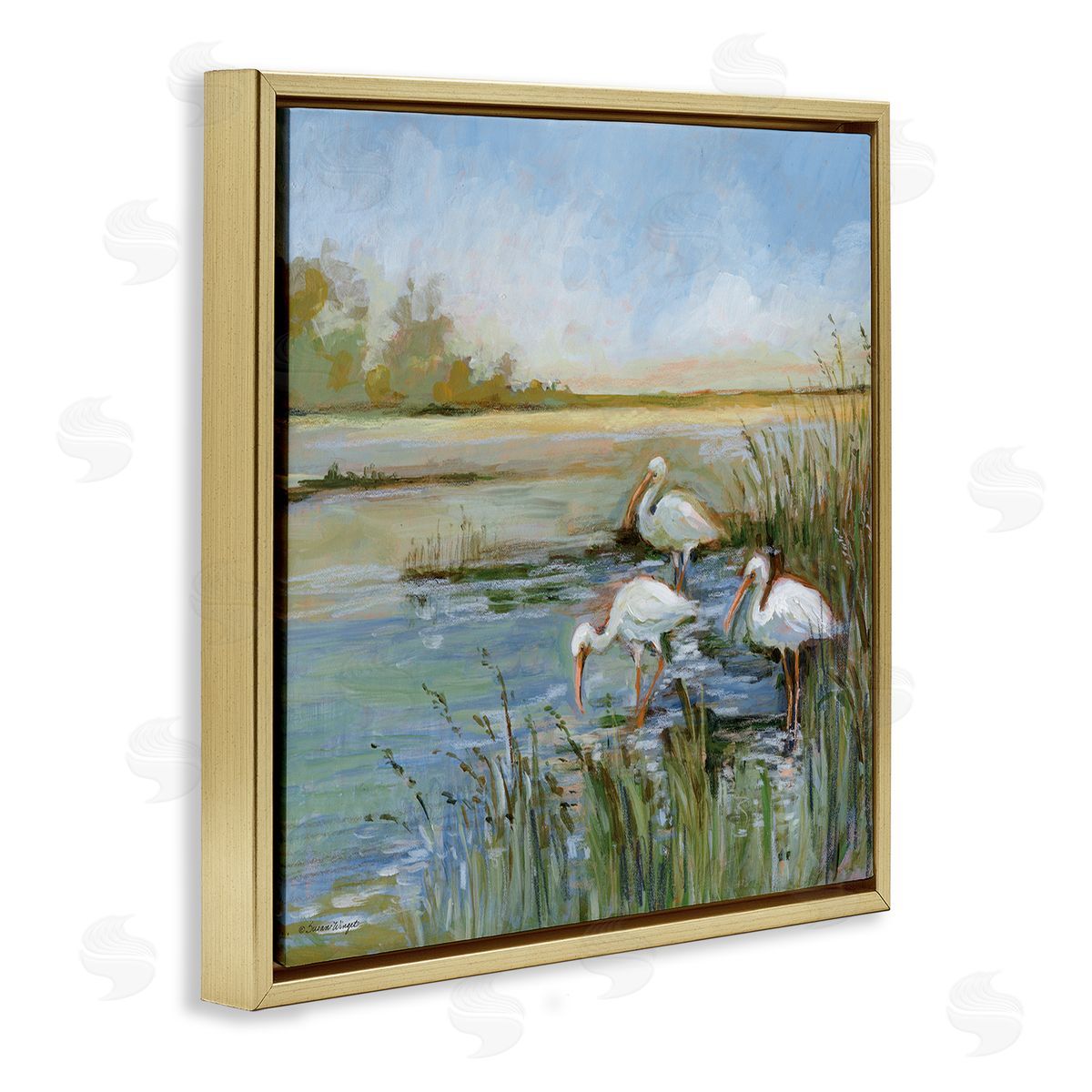 Susan Winget | Ibis On The Water