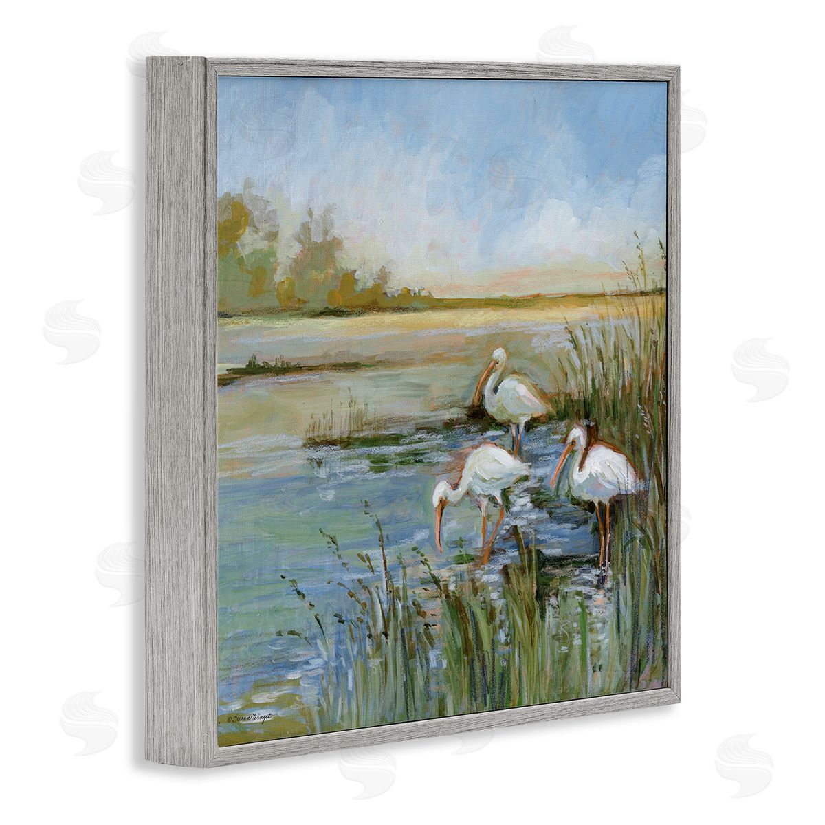 Susan Winget | Ibis On The Water