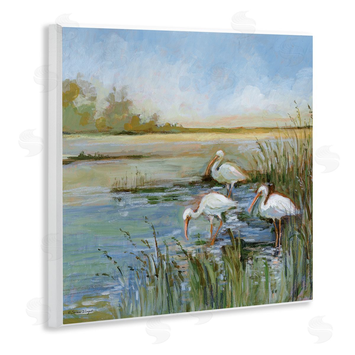 Susan Winget | Ibis On The Water