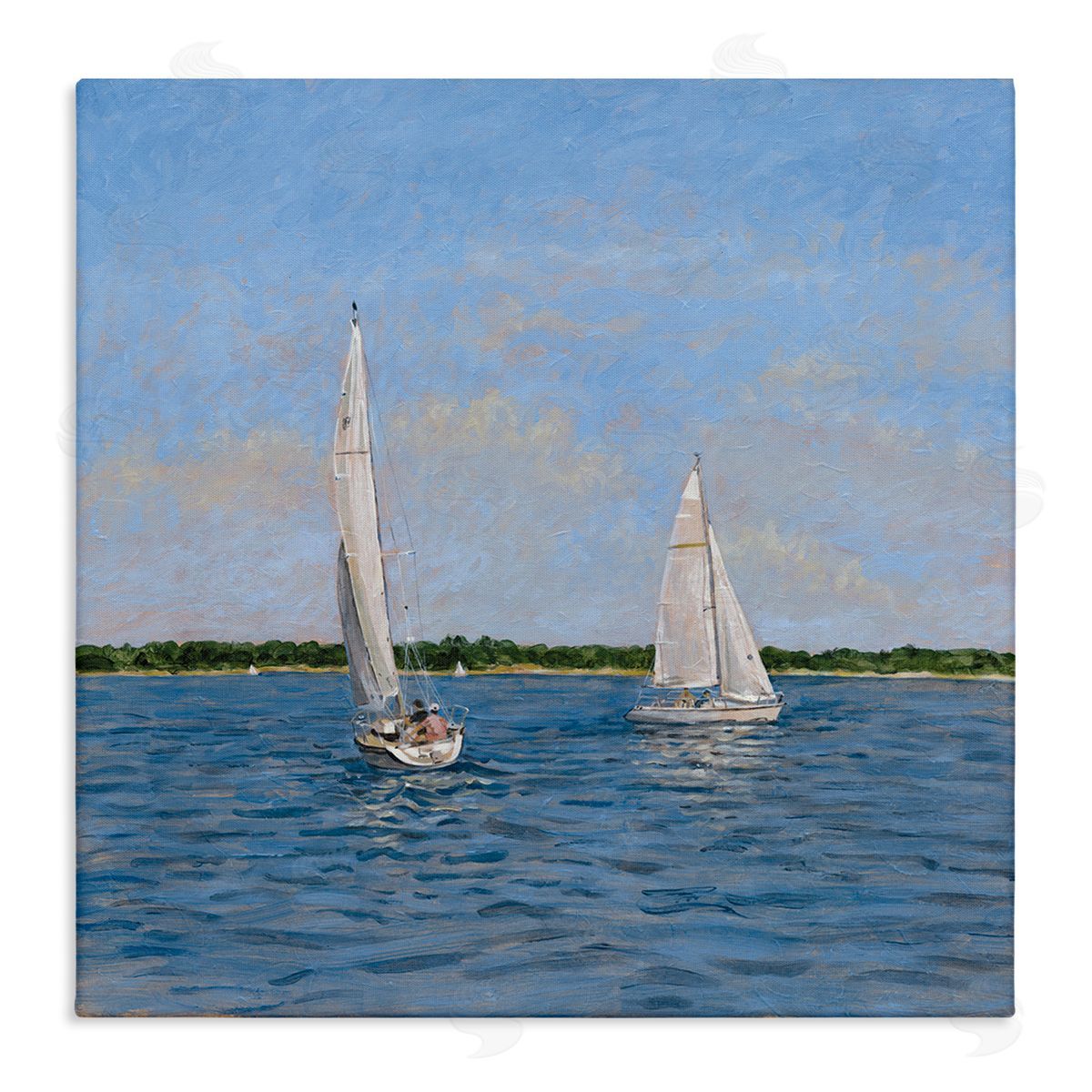 Tim Coffey | Twin Summer Sailing Boats