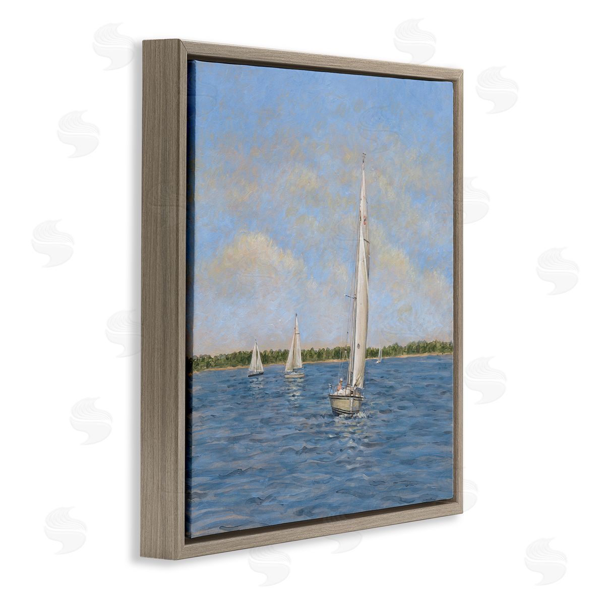 Tim Coffey | Sailing Summer Waves