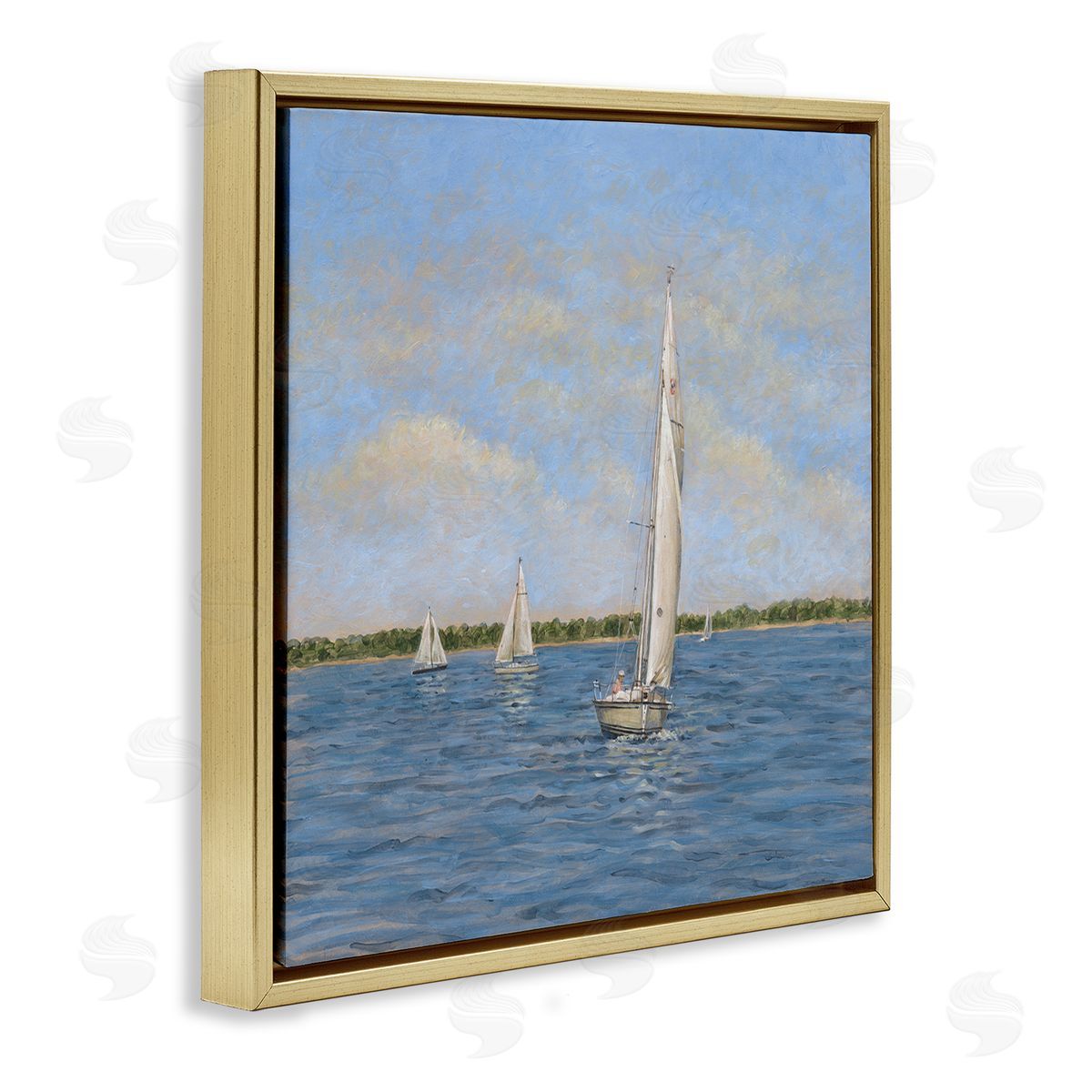 Tim Coffey | Sailing Summer Waves