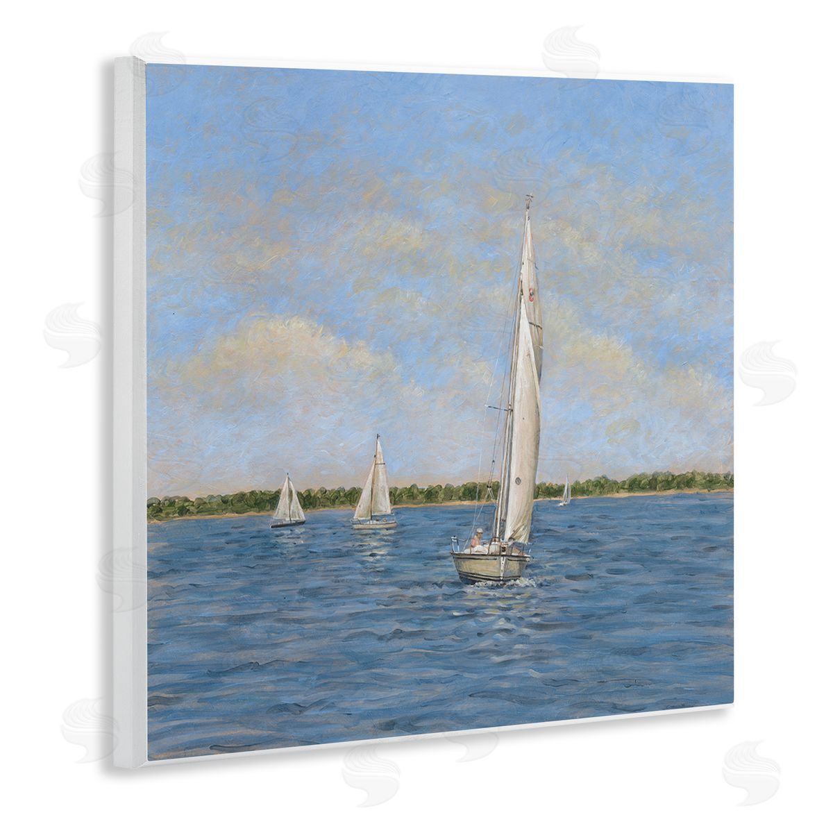 Tim Coffey | Sailing Summer Waves