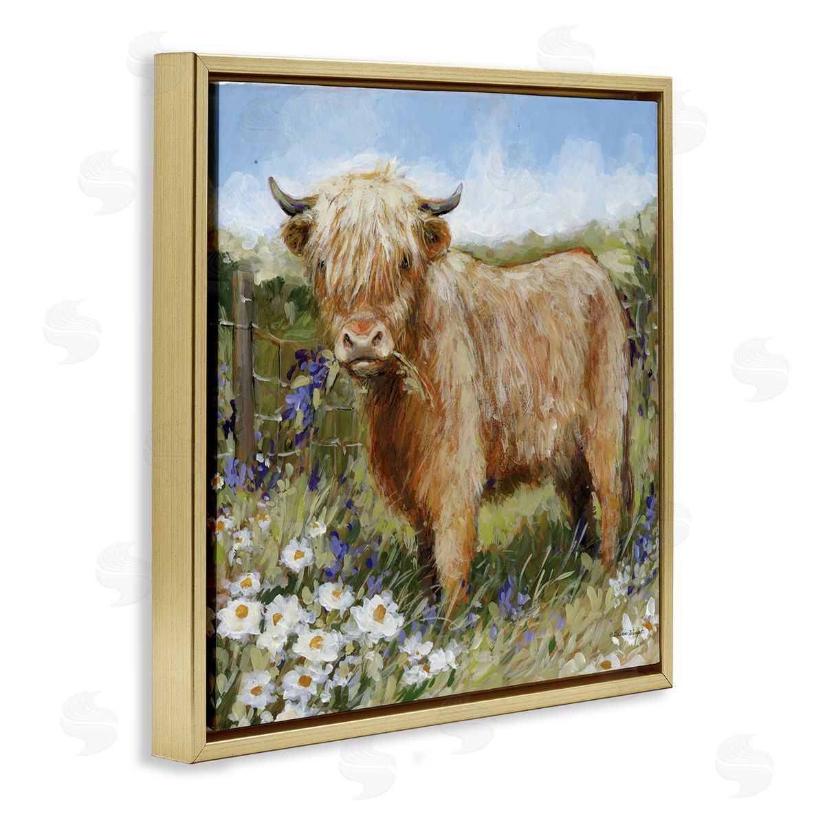 Susan Winget | Floral Pasture Highland Cow