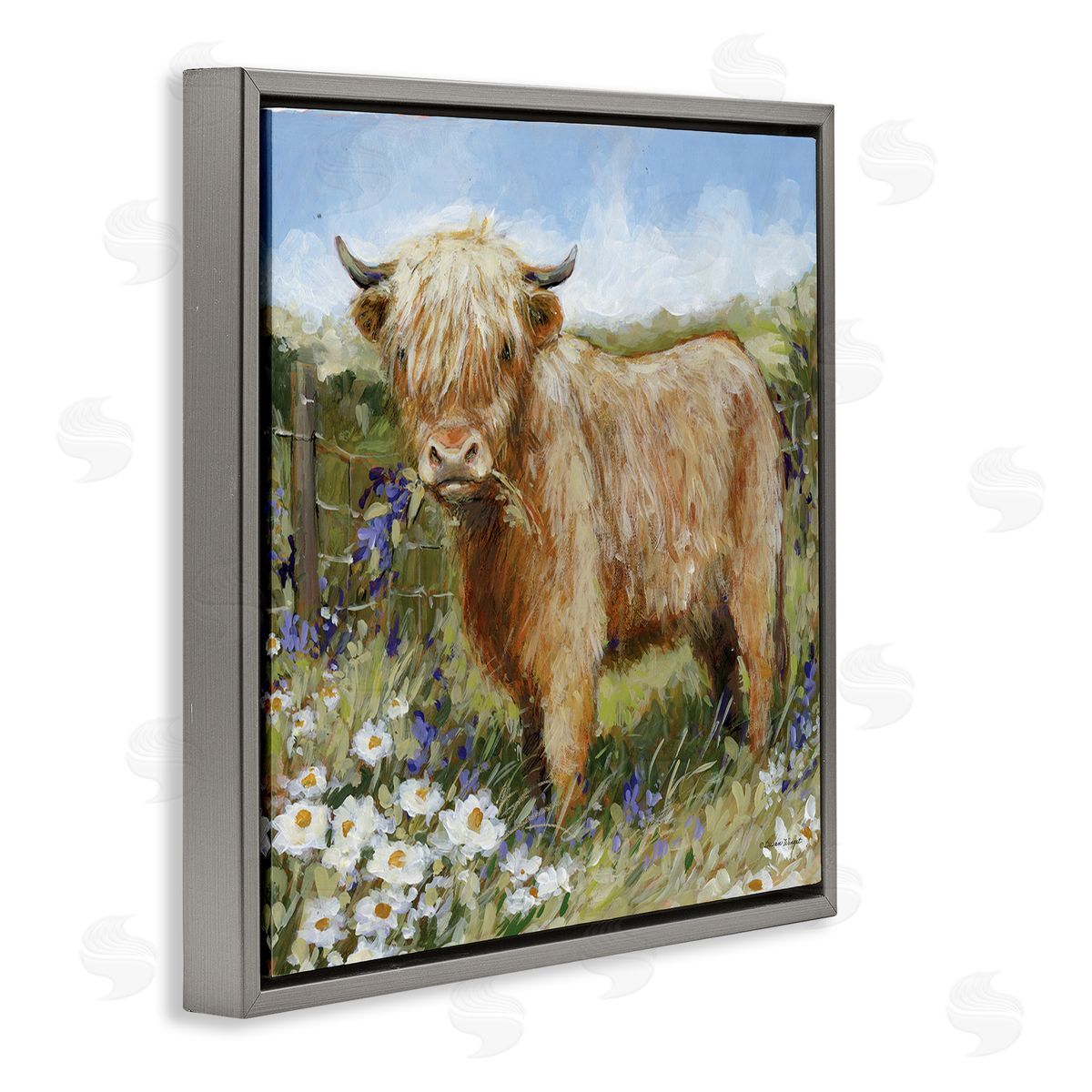 Susan Winget | Floral Pasture Highland Cow