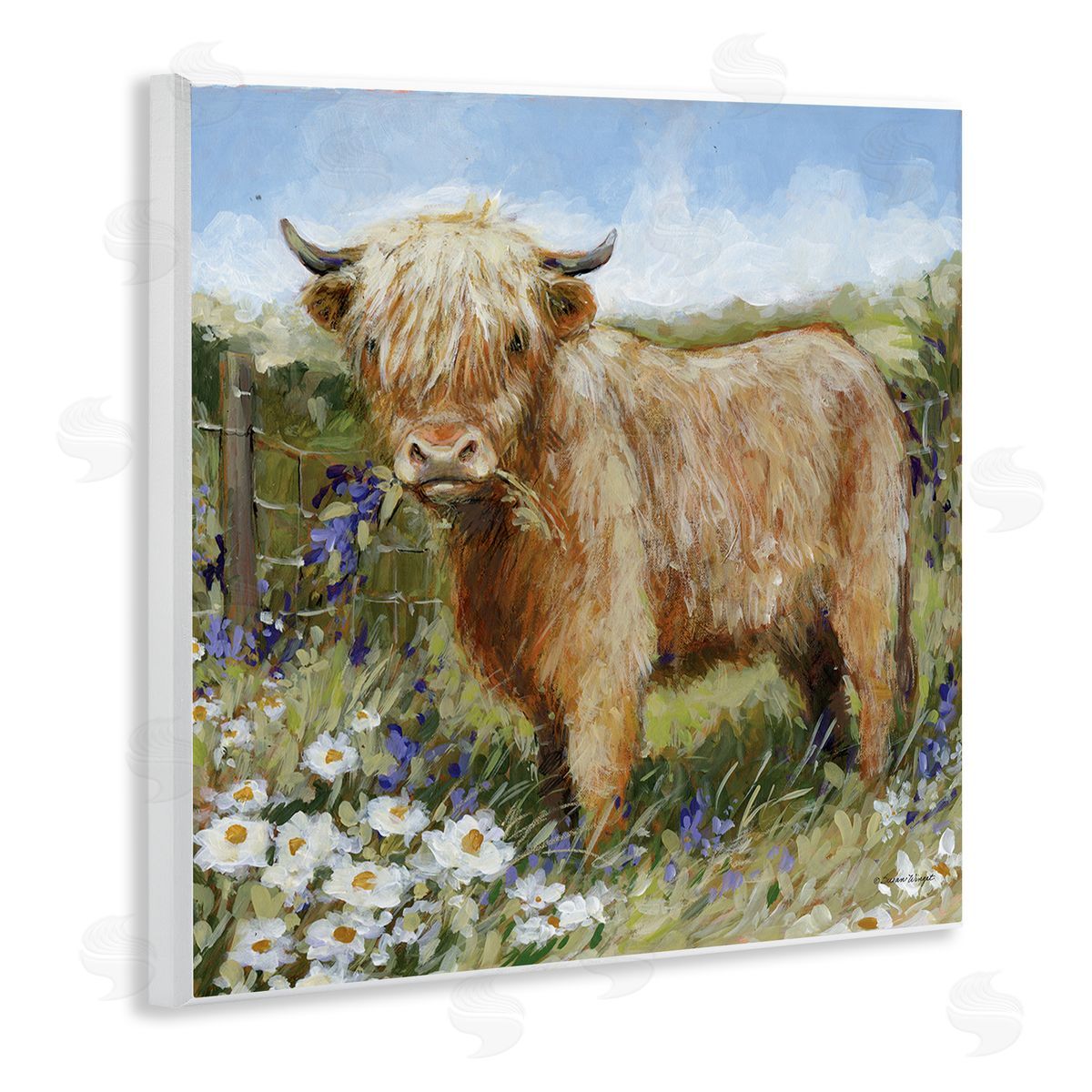 Susan Winget | Floral Pasture Highland Cow