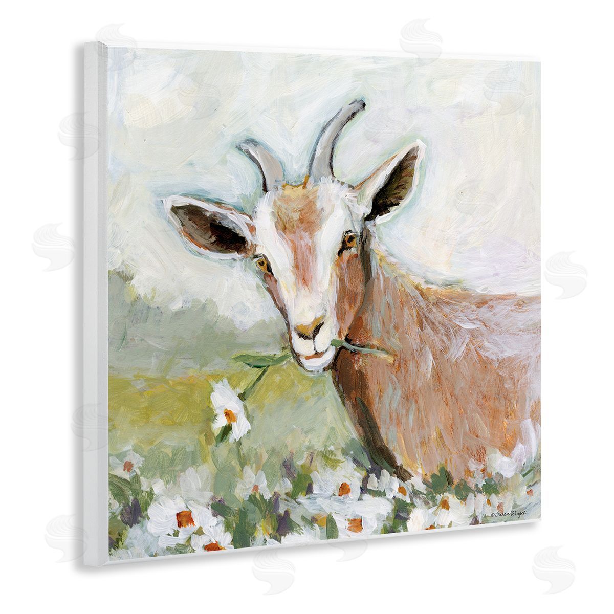 Susan Winget | Pastoral Goat & Daisy