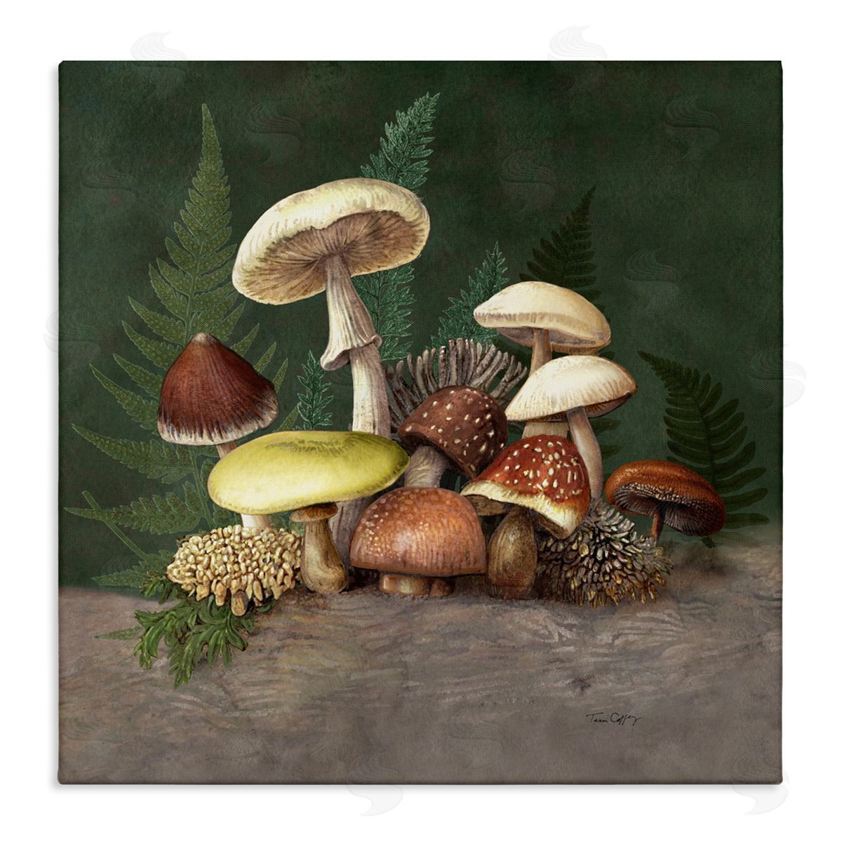 Tim Coffey Mushrooms and Ferns Nature Canvas Wall Art Print