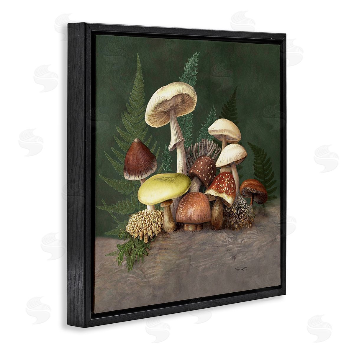 Tim Coffey Mushrooms and Ferns Nature Canvas Wall Art Print