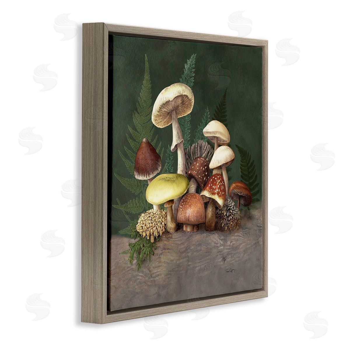Tim Coffey Mushrooms and Ferns Nature Canvas Wall Art Print