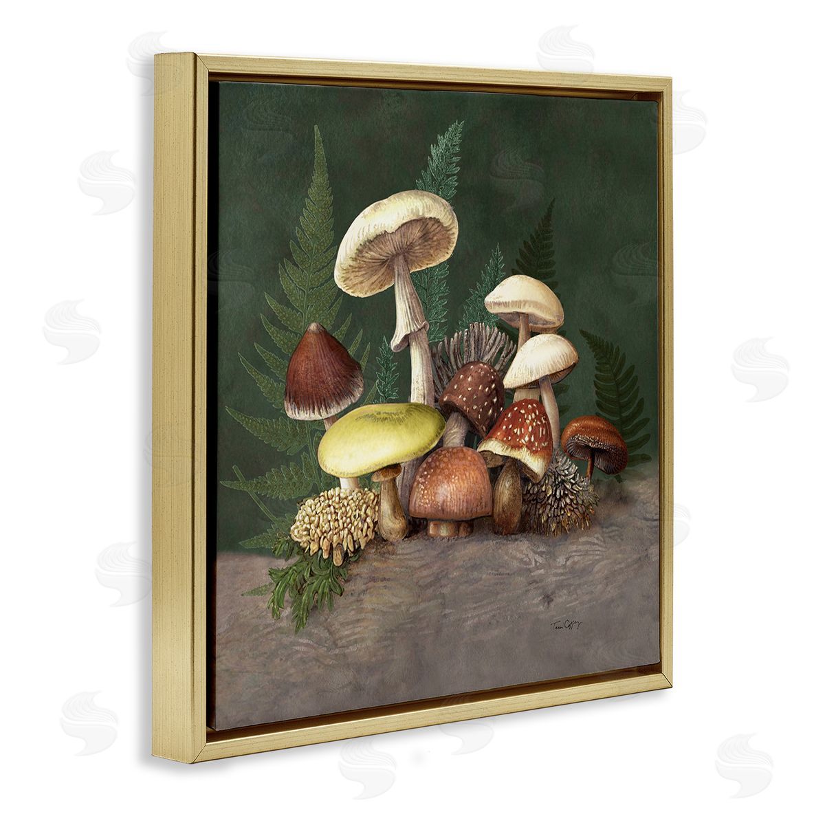 Tim Coffey Mushrooms and Ferns Nature Canvas Wall Art Print