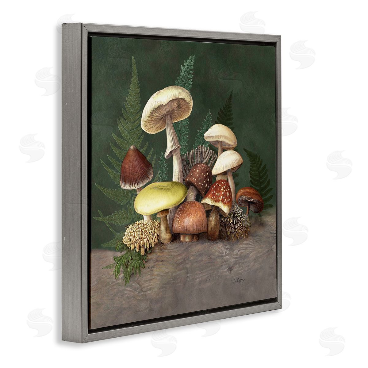 Tim Coffey Mushrooms and Ferns Nature Canvas Wall Art Print