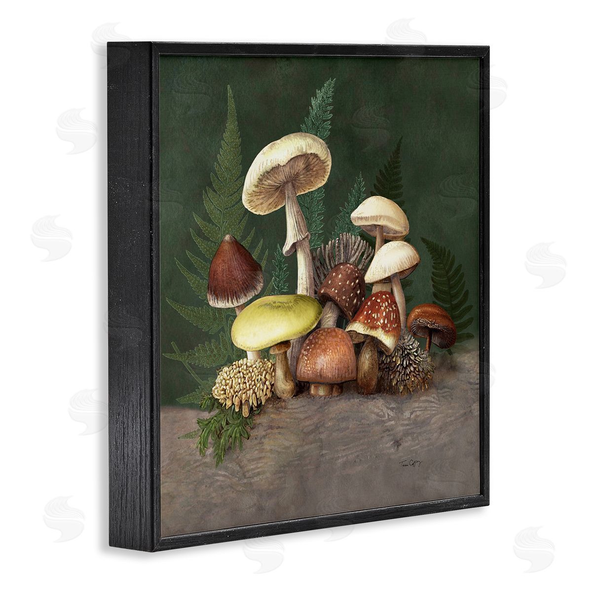 Tim Coffey Mushrooms and Ferns Nature Canvas Wall Art Print