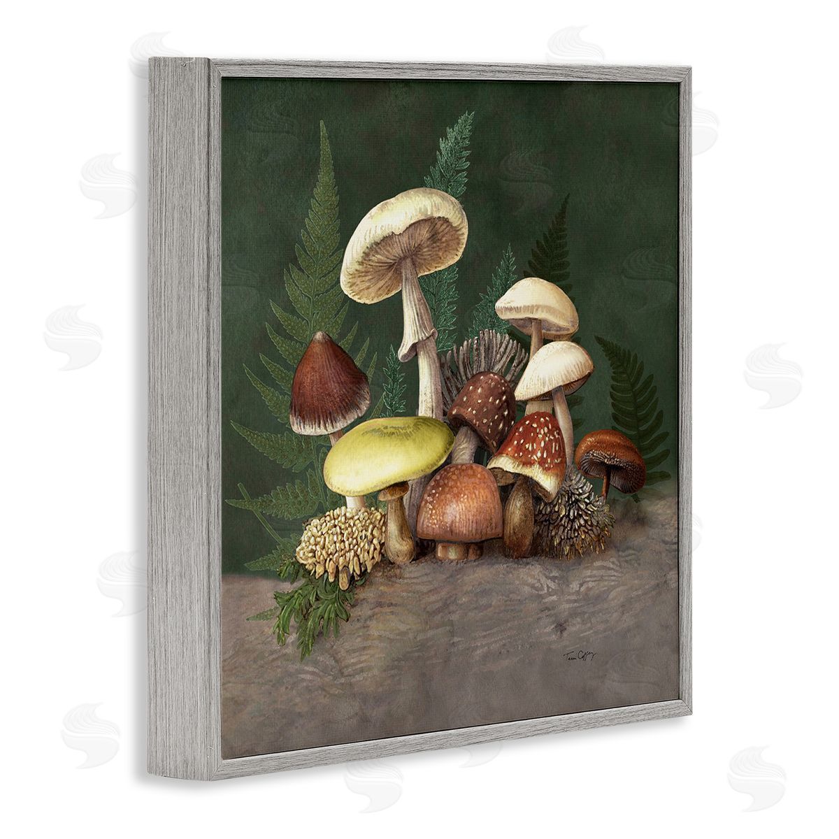 Tim Coffey Mushrooms and Ferns Nature Canvas Wall Art Print