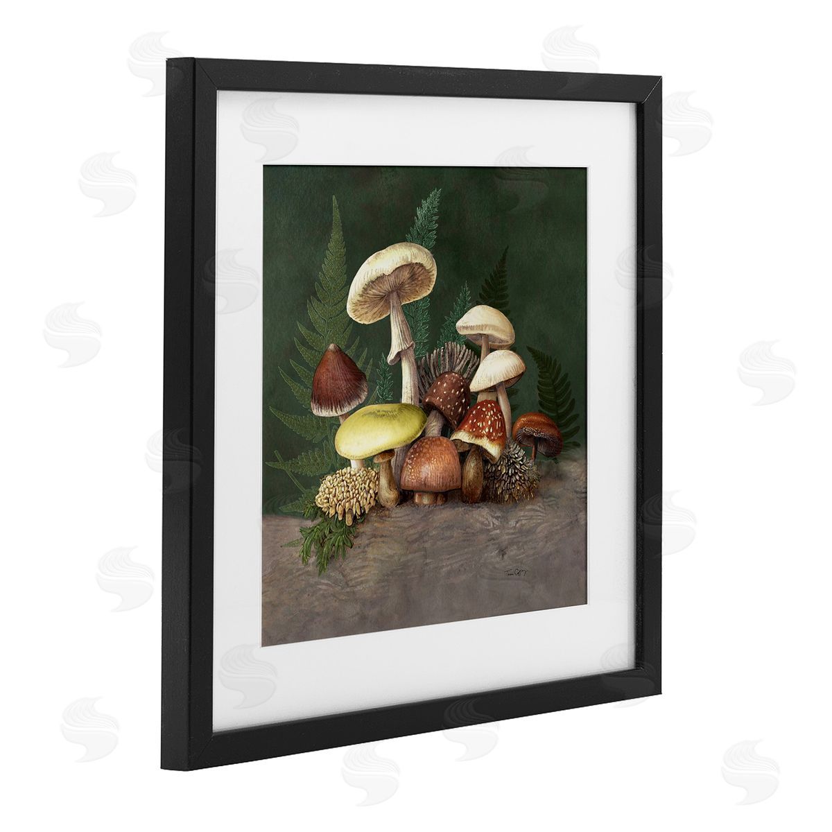 Tim Coffey Mushrooms and Ferns Nature Canvas Wall Art Print