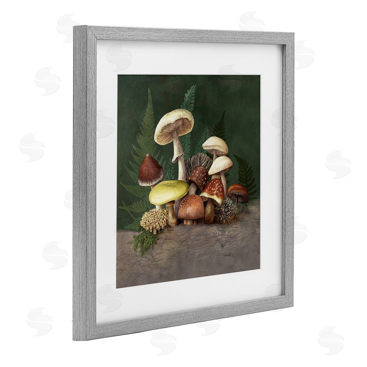 Tim Coffey Mushrooms and Ferns Nature Canvas Wall Art Print