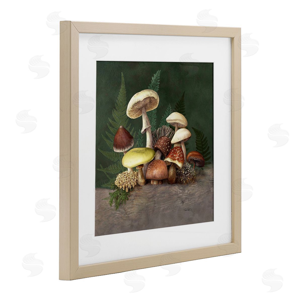 Tim Coffey Mushrooms and Ferns Nature Canvas Wall Art Print
