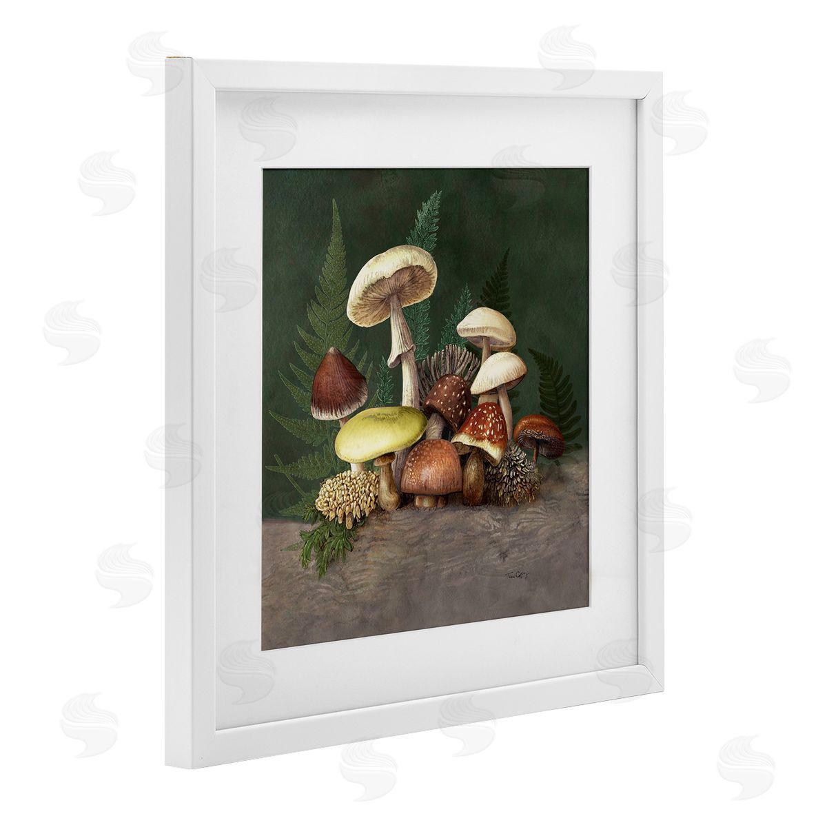 Tim Coffey Mushrooms and Ferns Nature Canvas Wall Art Print