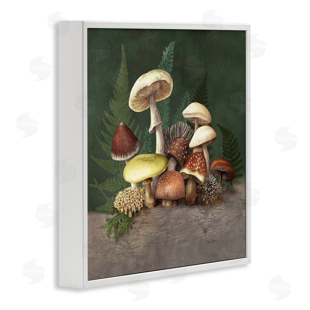 Tim Coffey Mushrooms and Ferns Nature Canvas Wall Art Print