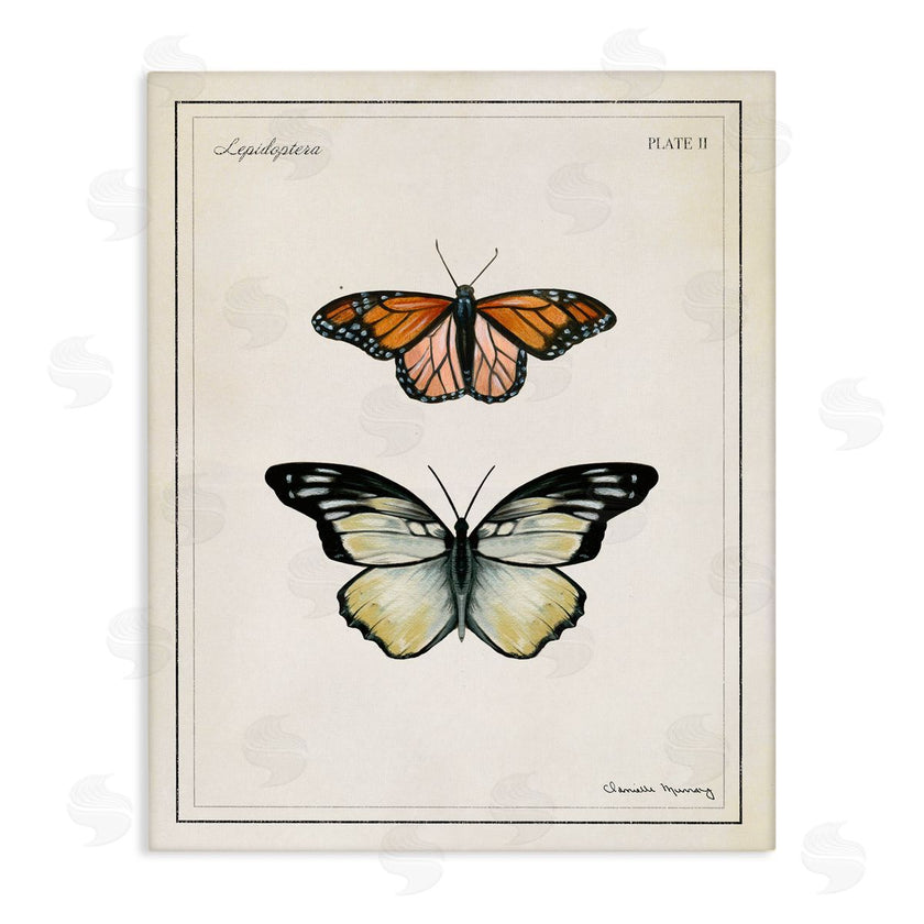 Danielle Murray | Manor House Butterflies