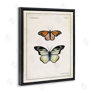 Danielle Murray | Manor House Butterflies