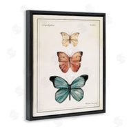 Danielle Murray | Manor House Motif
